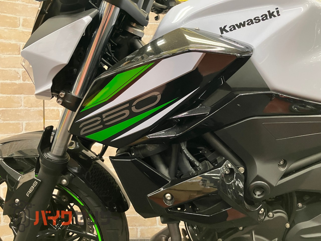 Z250　ラジエタースクリーン　メーターバイザー　ACTIVE左右レバー　ETC USB_17