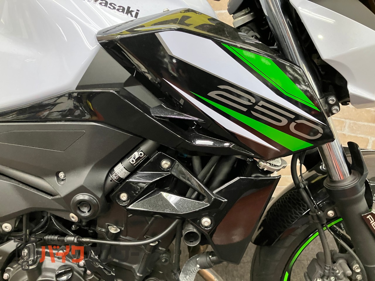 Z250　ラジエタースクリーン　メーターバイザー　ACTIVE左右レバー　ETC USB_34