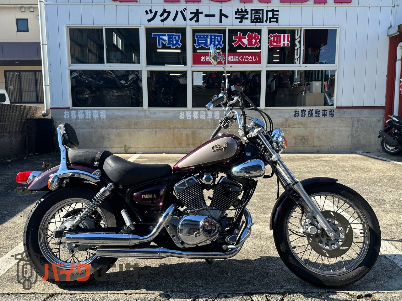 ヤマハ ビラーゴ250 B578867| BDSバイクセンサー