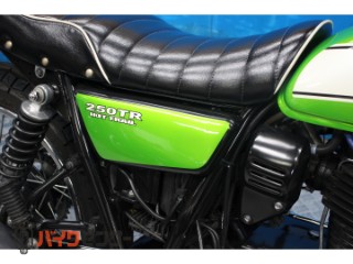 250TR　ＢＪ２５０Ｆモデル　インジェクション　２０１１年[img21]