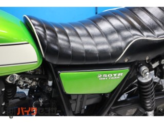 250TR　ＢＪ２５０Ｆモデル　インジェクション　２０１１年[img37]