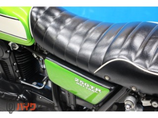 250TR　ＢＪ２５０Ｆモデル　インジェクション　２０１１年[img43]