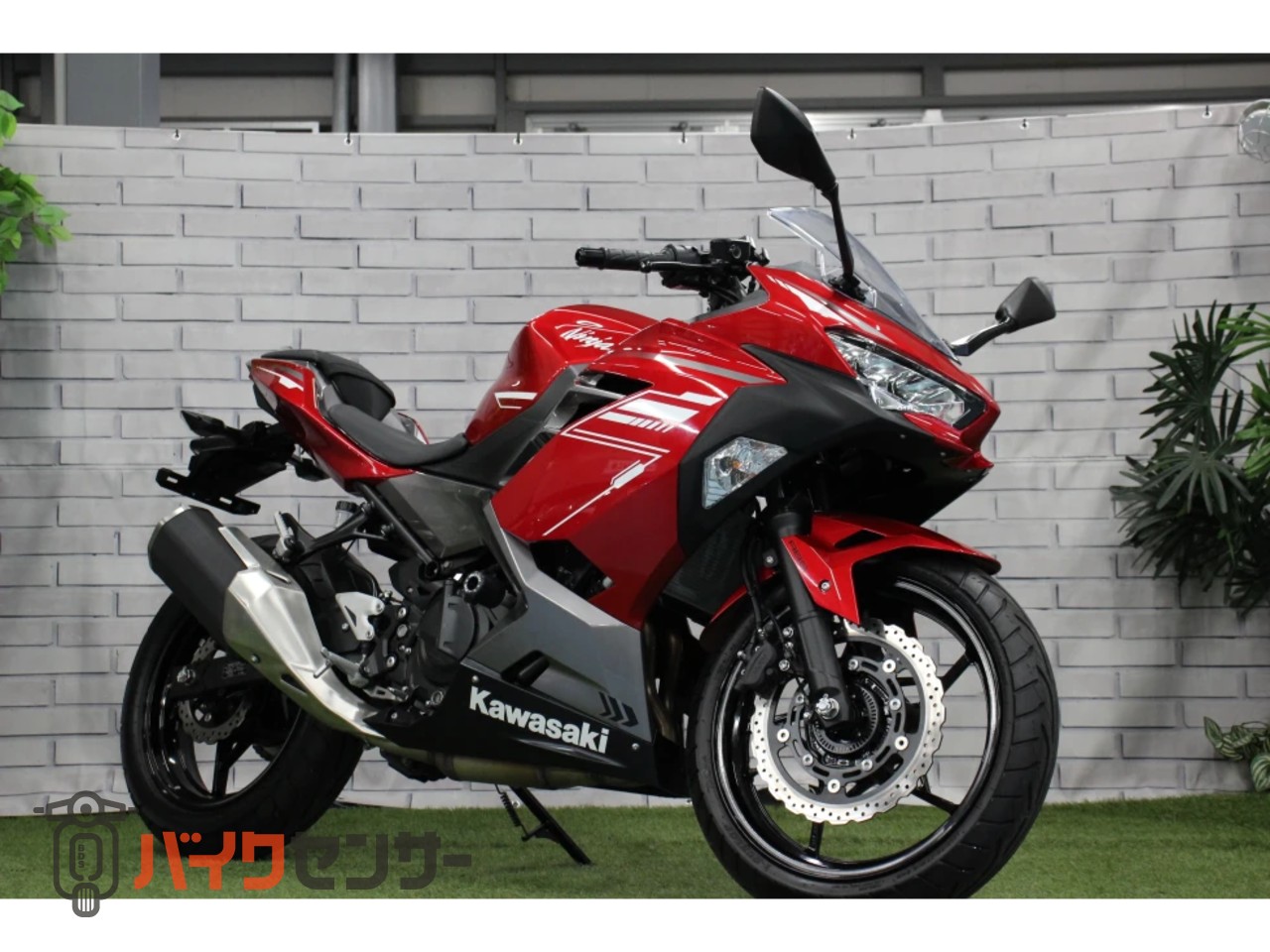 N工房 楽天市場】新感覚 カラートップジェル 「Raffin? Clear」ノーワイプ