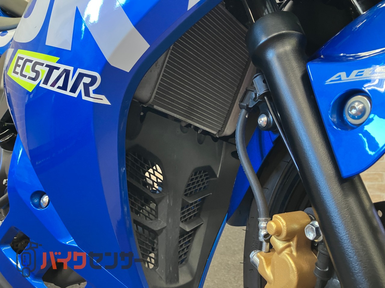 GSX-R125ステップバックプレート　マルチバー ワンオーナー車_45