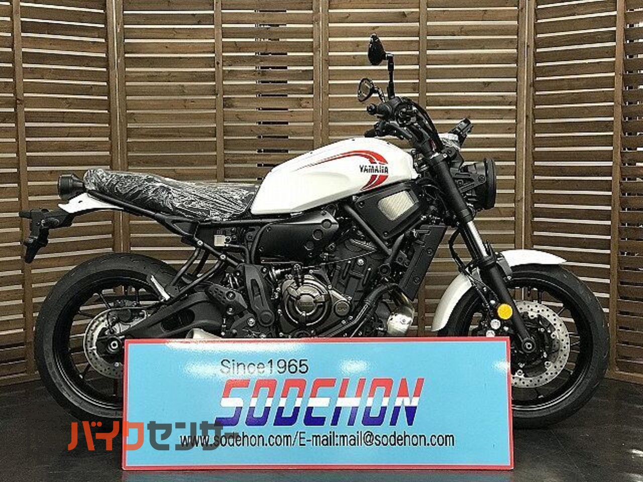 ヤマハ XSR700 2024年モデル ラジカルホワイト B581827| BDSバイクセンサー