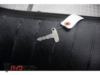 250TR　ＢＪ２５０Ｆモデル　インジェクション　　２００８[img6]