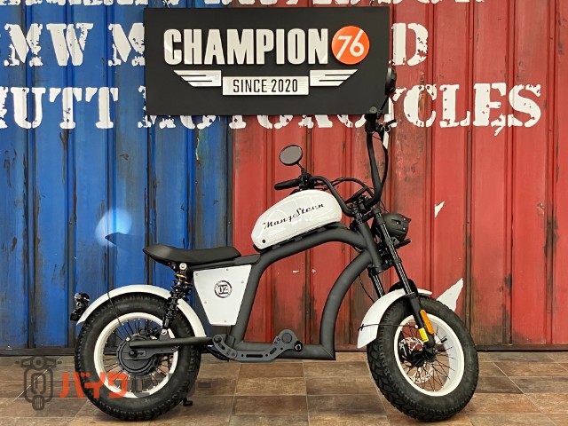 MANGOSTEEN ＦＴ０２ＭＩＮＩ