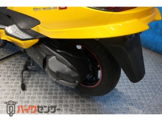 スカイウェイブ250 タイプM　ＣＪ４５Ａモデル　カスタムマフラー　インジェクション[img51]