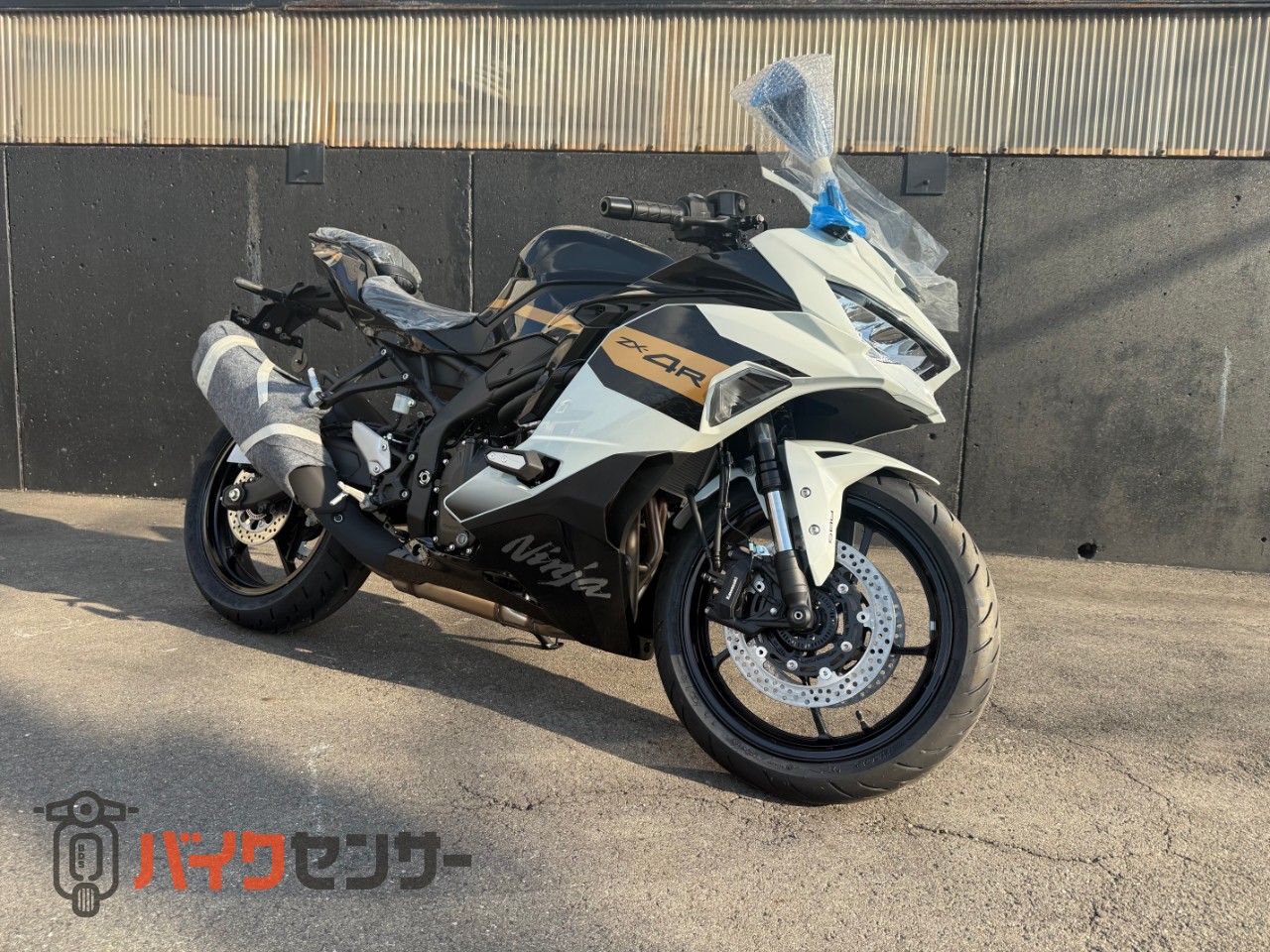 カワサキ NINJA ZX-4R SE B585961| BDSバイクセンサー
