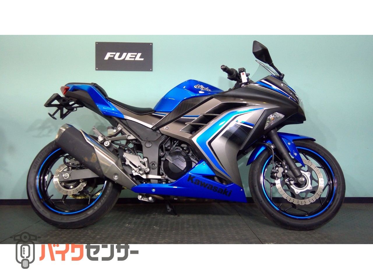 カワサキ NINJA250 EX250L フェンダーレス ABS B586989| BDSバイクセンサー