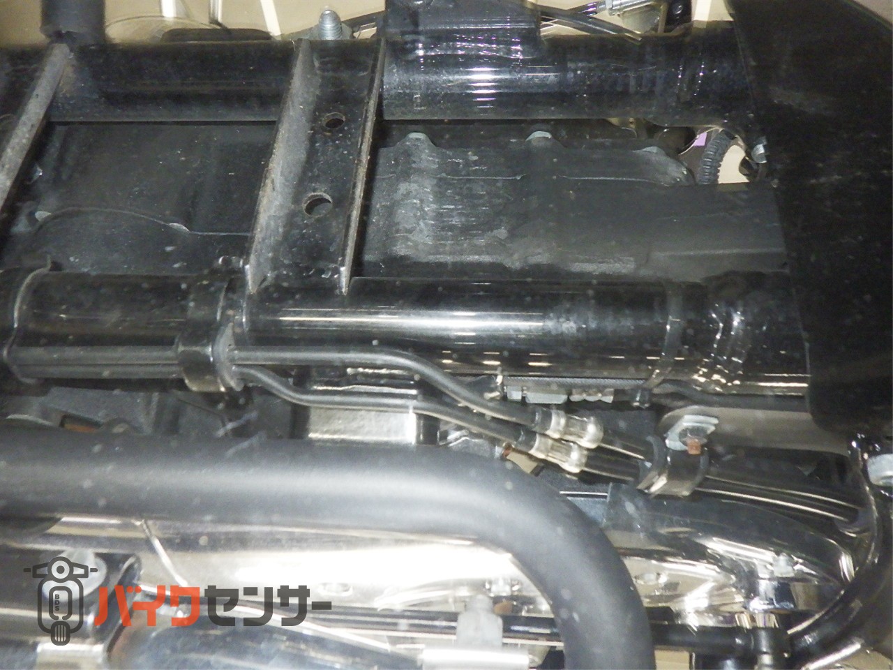 XL1200XS フォーティエイトスペシャル COBRAマフラー　タンクアップ　IGコイル移設　アンダースポイラー　ETC_7