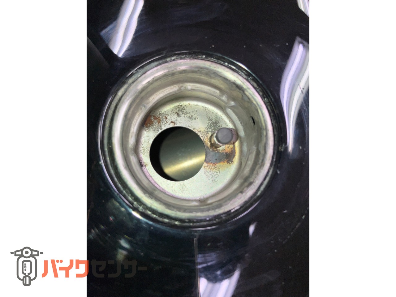 XL1200XS フォーティエイトスペシャル COBRAマフラー タンクアップ IGコイル移設 アンダースポイラー ETC_11