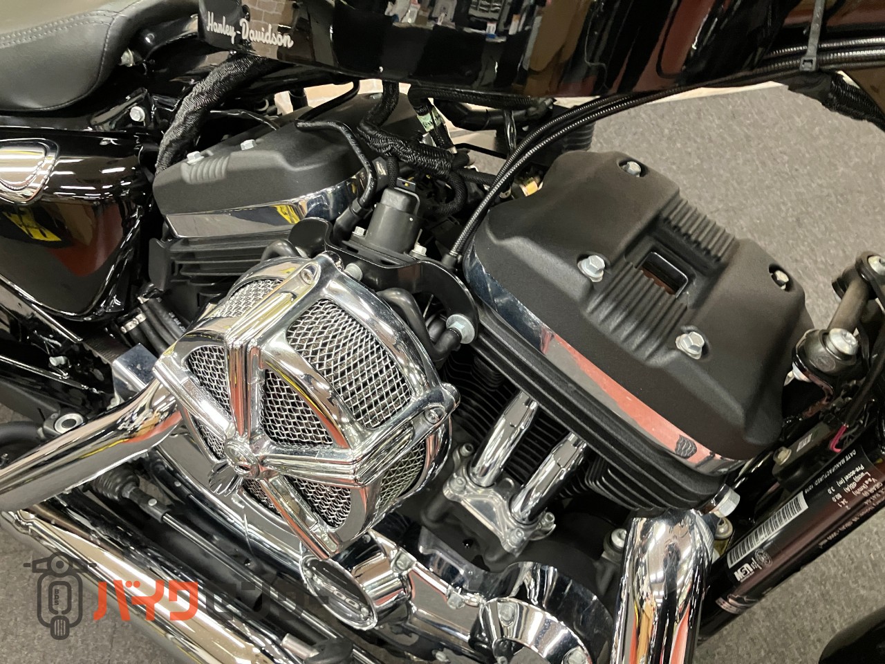 XL1200XS フォーティエイトスペシャル COBRAマフラー タンクアップ IGコイル移設 アンダースポイラー ETC_33