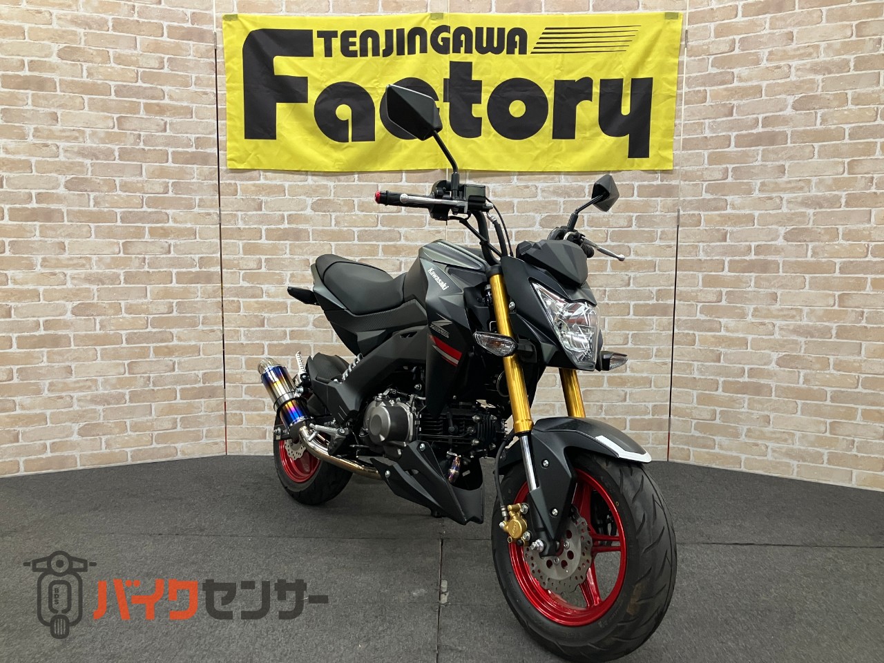 Z125PRO　最終モデル　フェンダーレス　BEAMSマフラー　LEDヘッドライト_2