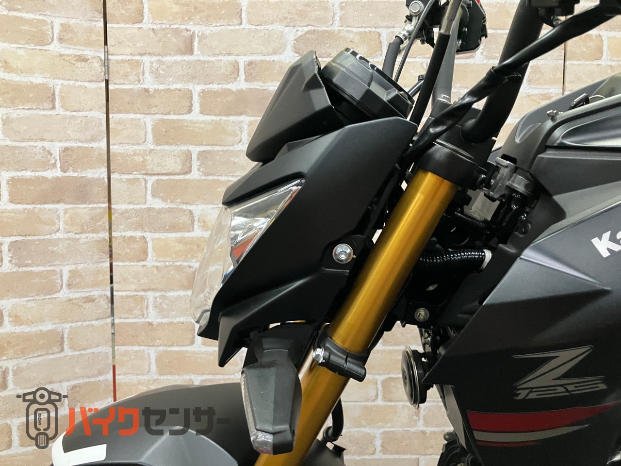 Z125PRO　最終モデル　フェンダーレス　BEAMSマフラー　LEDヘッドライト_10