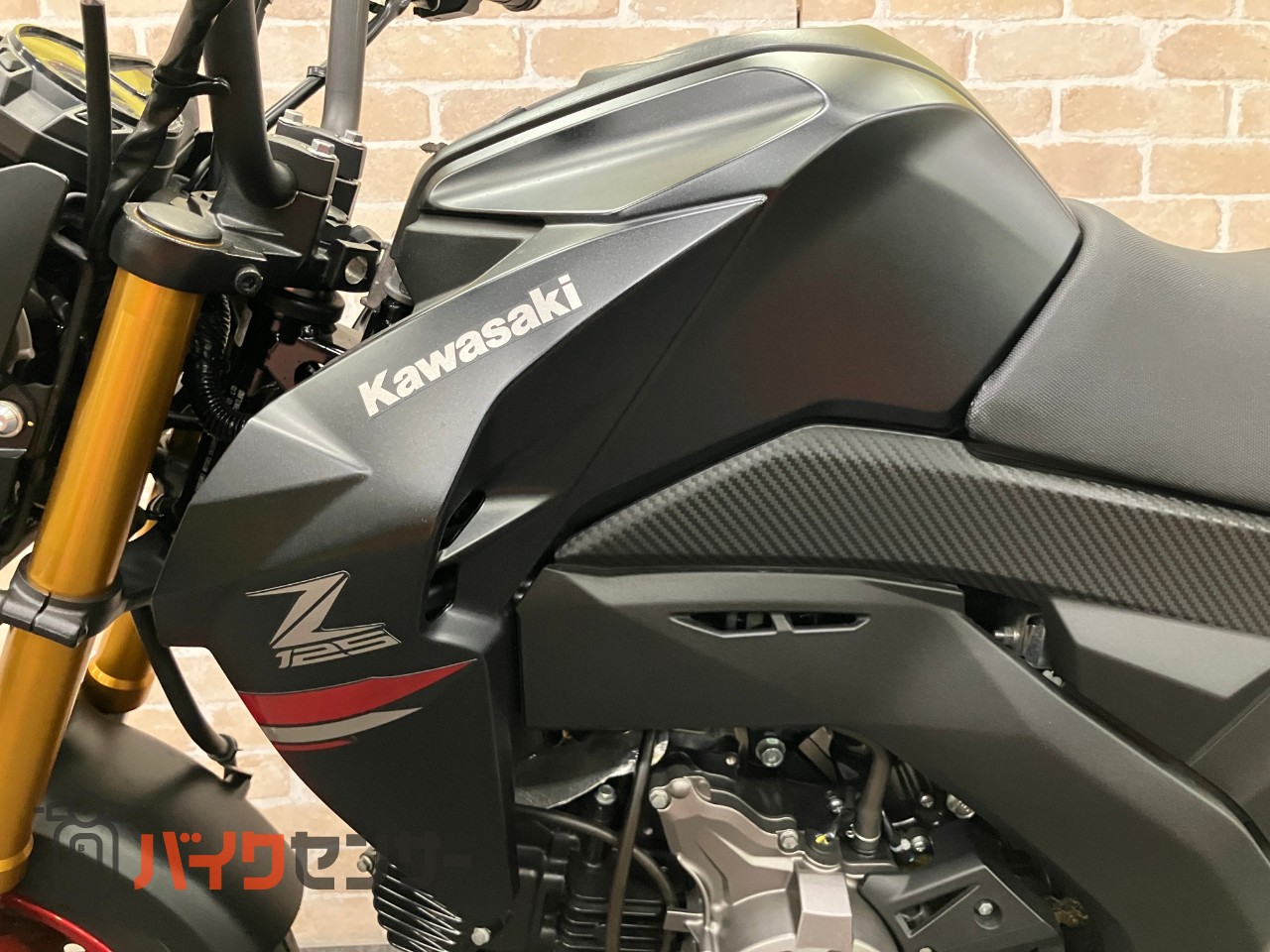 Z125PRO　最終モデル　フェンダーレス　BEAMSマフラー　LEDヘッドライト_12