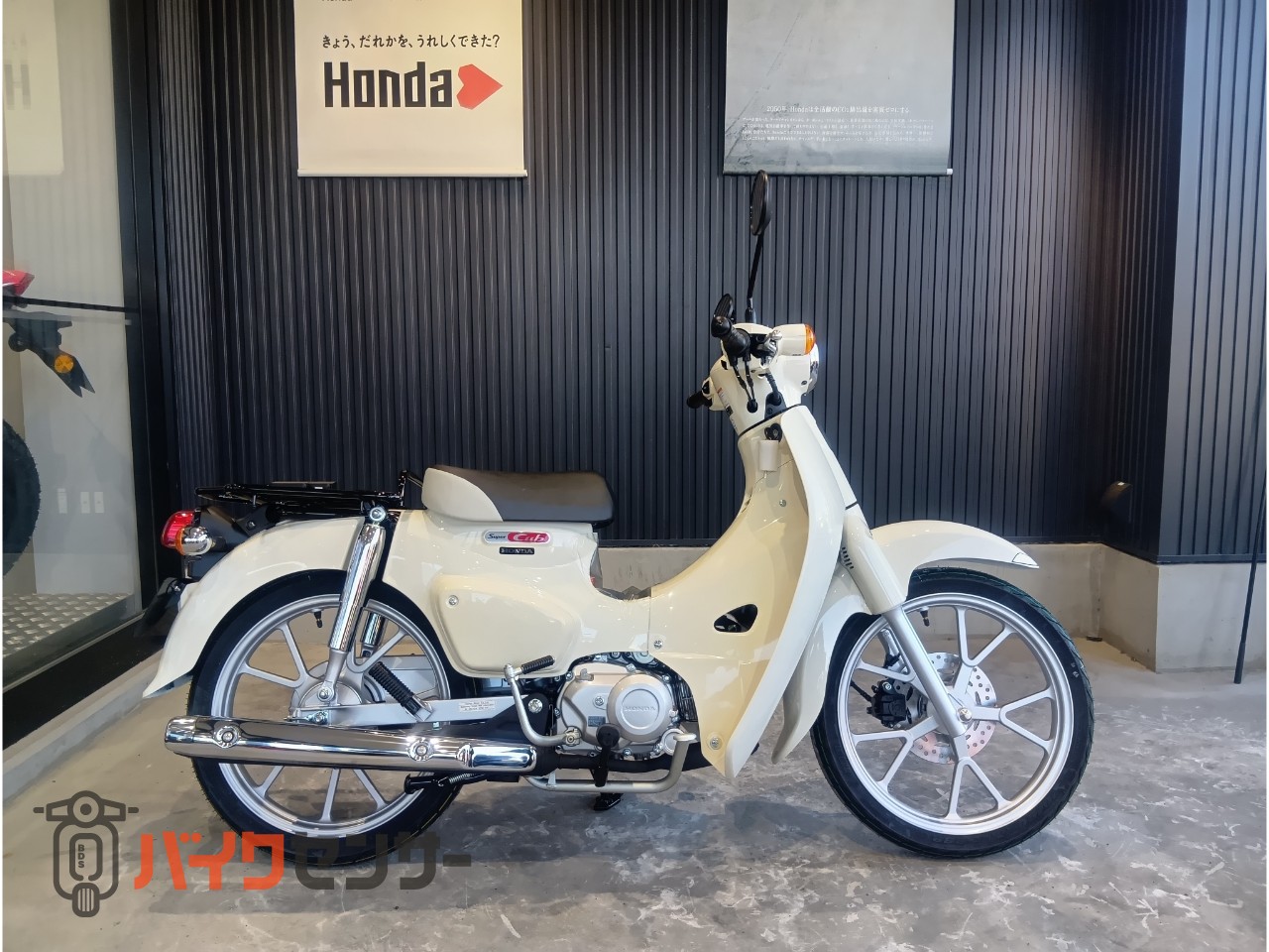 ホンダ スーパーカブ110--クラシカルホワイト B589784| BDSバイク