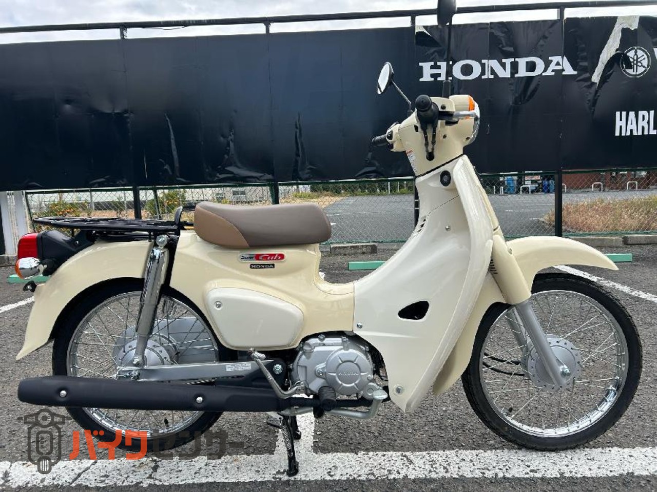 ホンダ スーパーカブ50 2025年式 B593783| BDSバイクセンサー