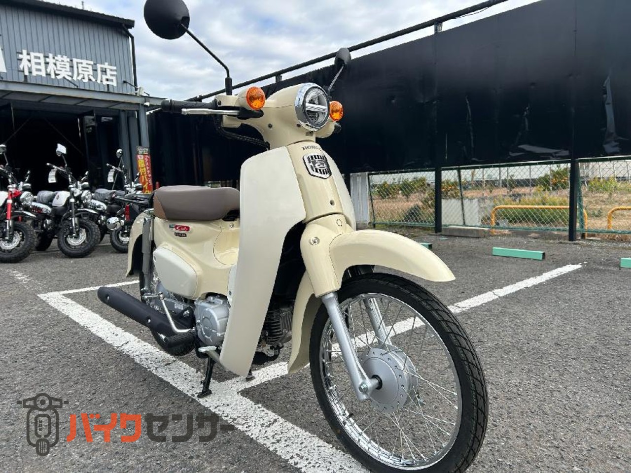 ホンダ スーパーカブ50 2025年式 B593783| BDSバイクセンサー