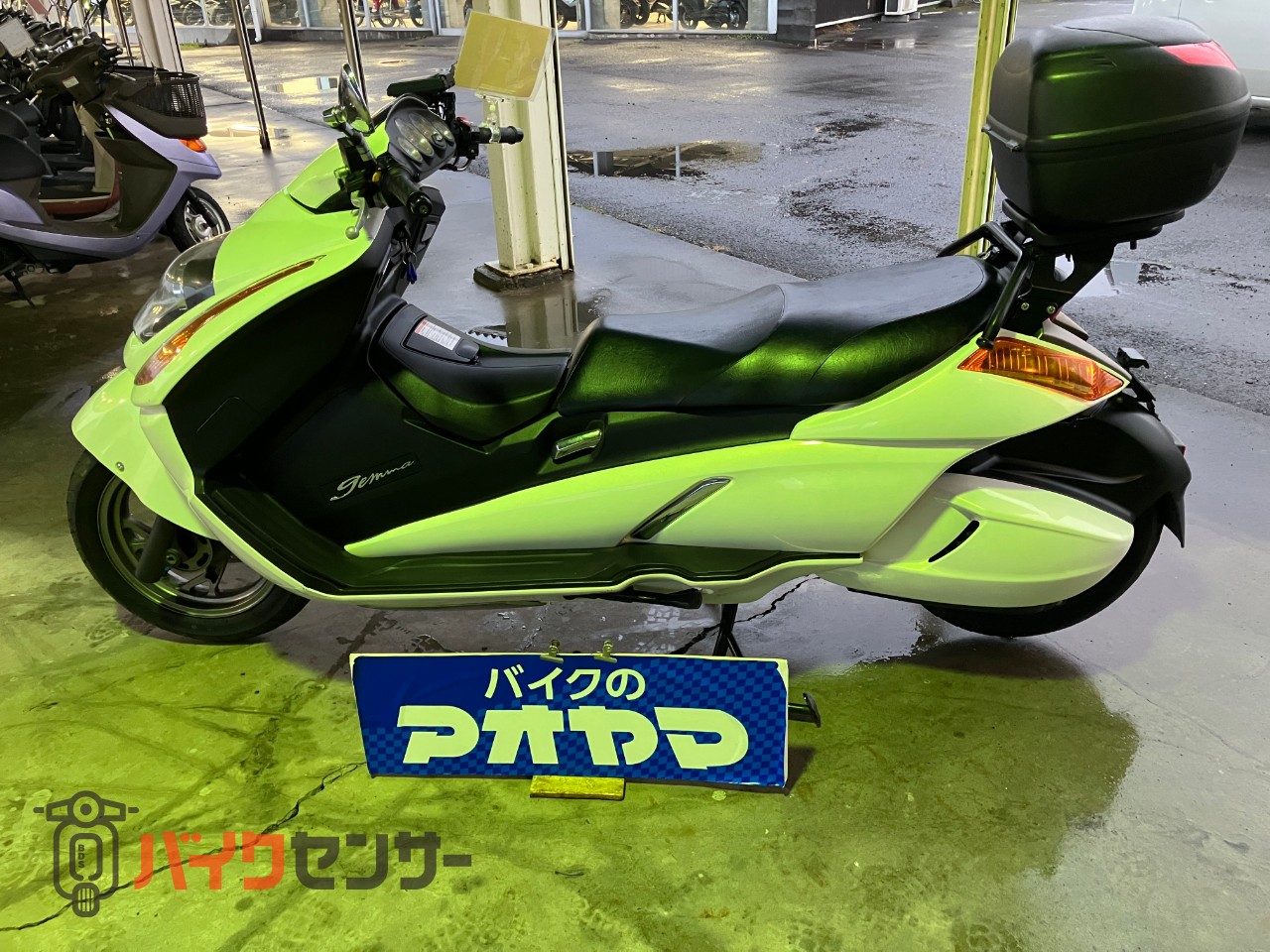 スズキ ジェンマ250 2008年式 B595828| BDSバイクセンサー