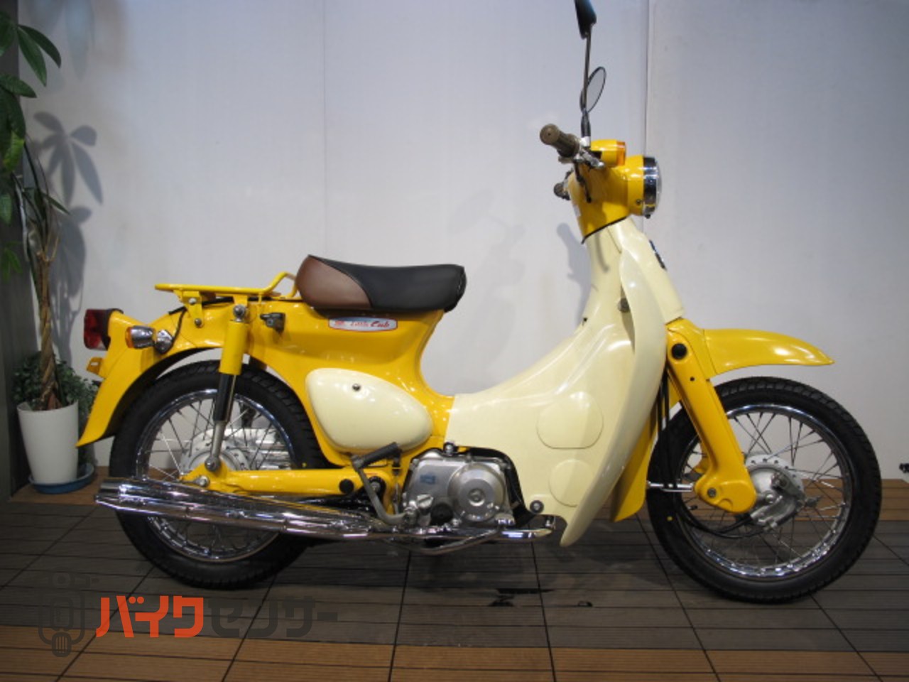 ホンダ リトルカブ キャブ最終セル付き4速 イエロー ボアアップ可能