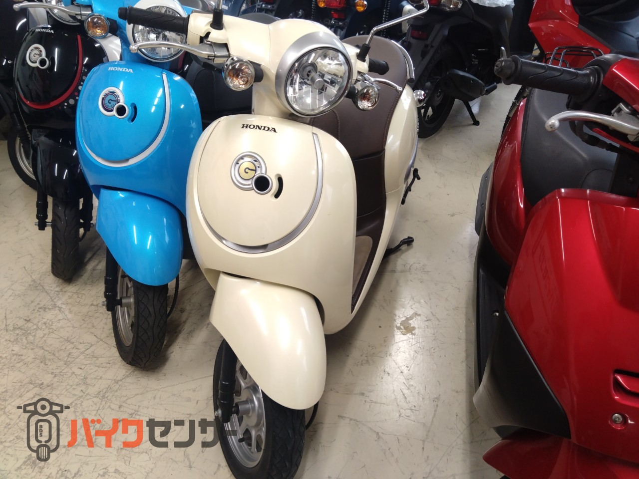 ホンダ ジョルノ ホンダ ジョルノ B597300| BDSバイクセンサー