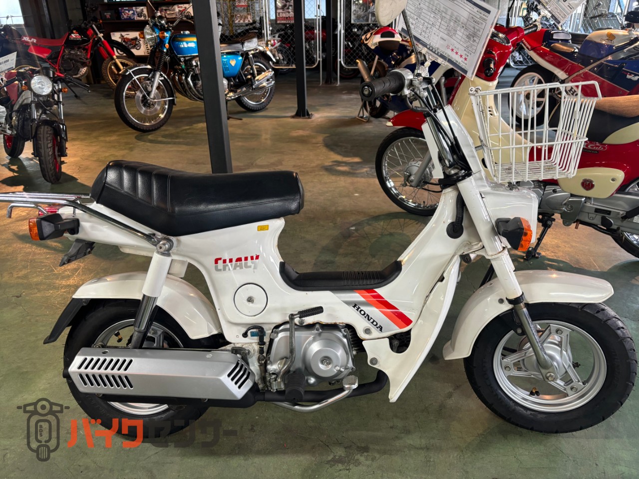ホンダ シャリー50 B597523| BDSバイクセンサー