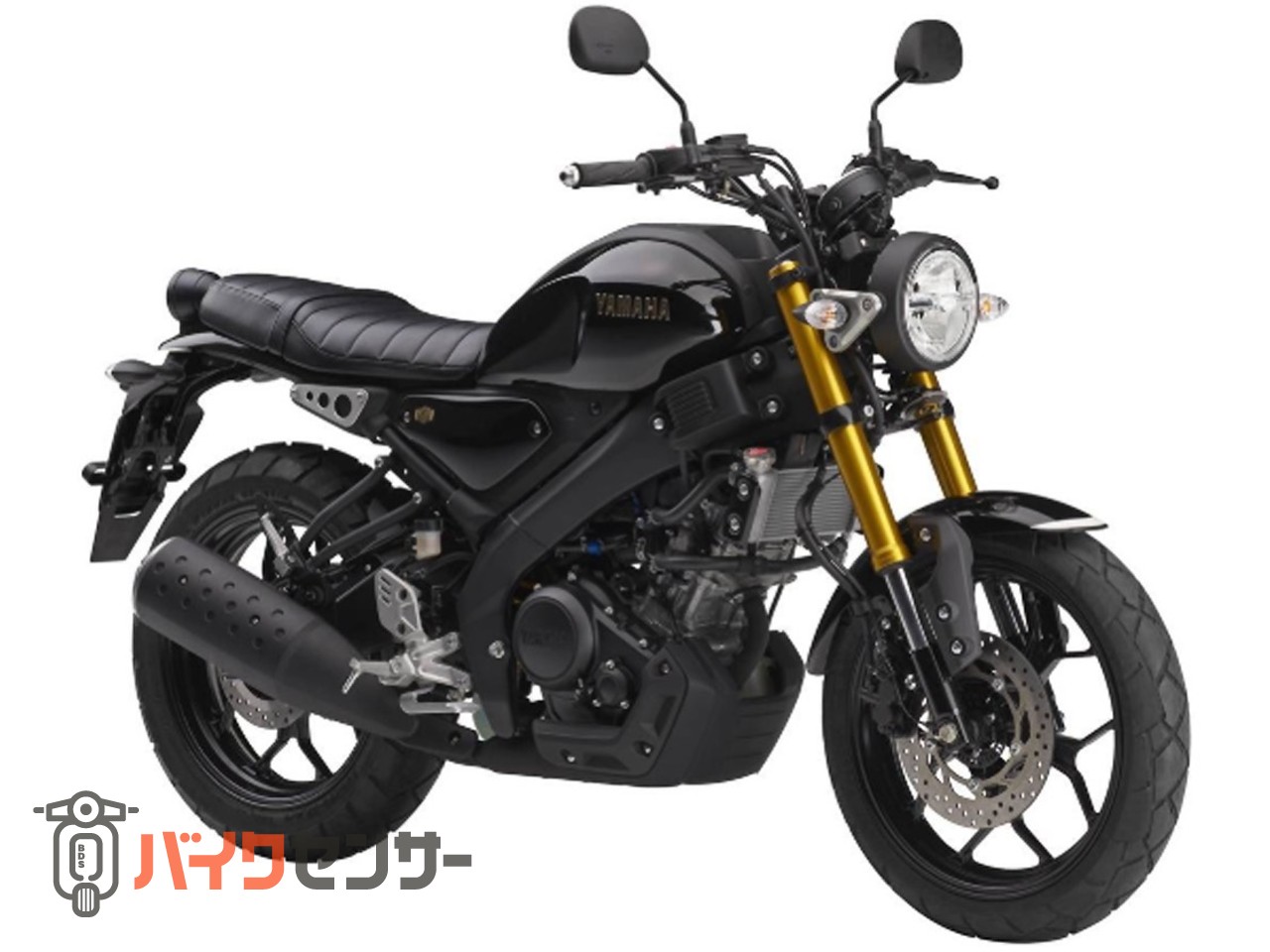 ヤマハ XSR155 ABS ブラック FI B597668| BDSバイクセンサー