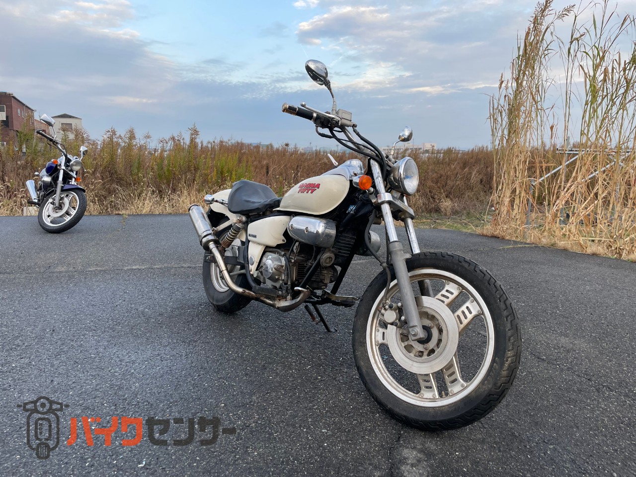 ホンダ　マグナ50 ホンダ マグナ50 B597814| BDSバイクセンサー