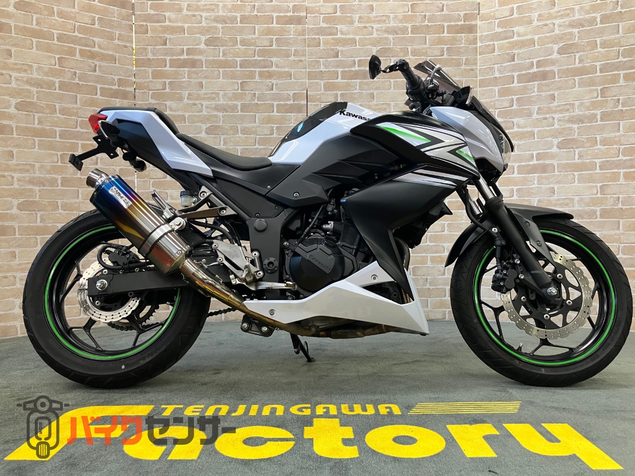 Z250 WR'Sフルエキゾースト　マジカルレーシング　スクリーン　インナーフェンダー　フェンダーレス　バーエンドミラー　タンクカバー_0