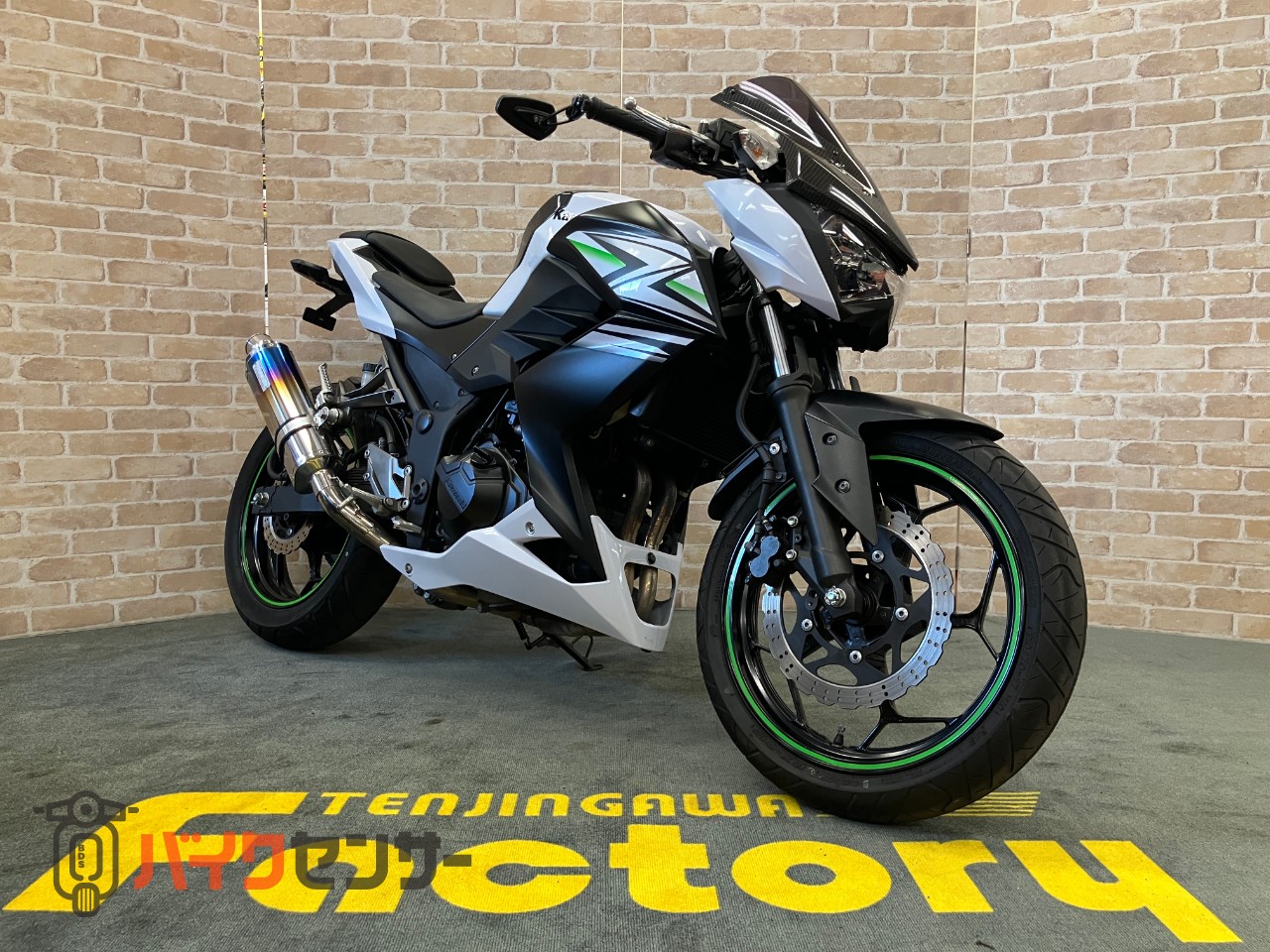 Z250 WR'Sフルエキゾースト　マジカルレーシング　スクリーン　インナーフェンダー　フェンダーレス　バーエンドミラー　タンクカバー_2