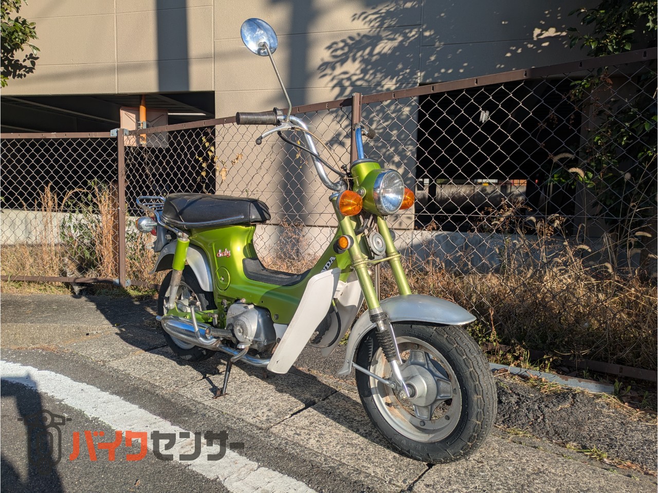 HONDA シャリー cf50 HONDA シャリー CF50 【公式通販】