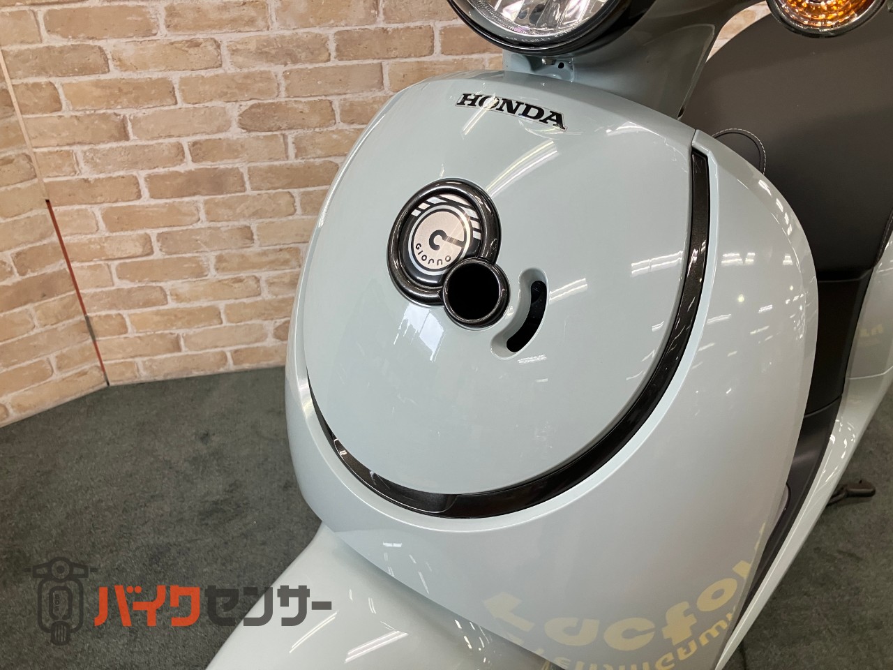 ジョルノ　AF77 プコブルー_19