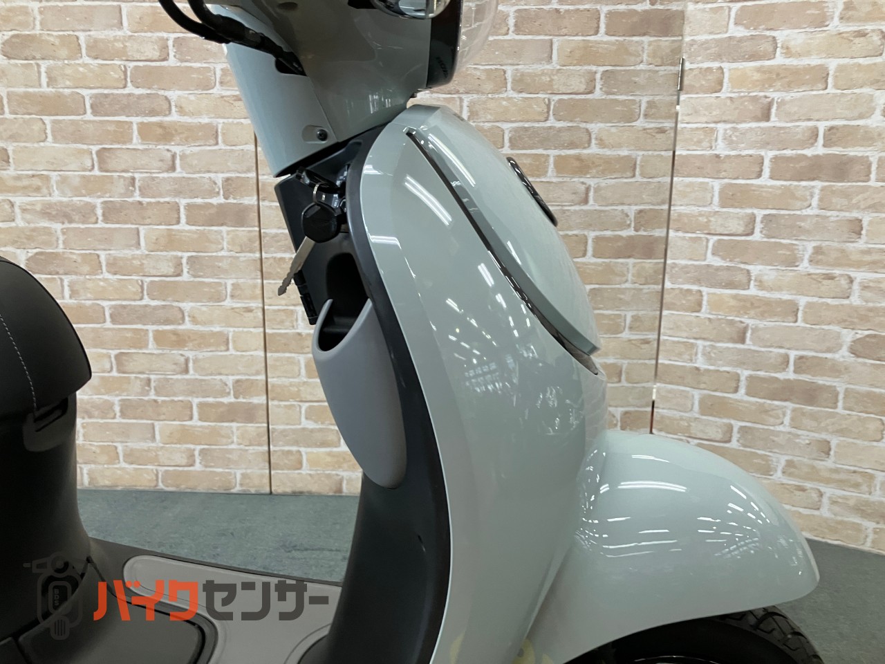 ジョルノ　AF77 プコブルー_29