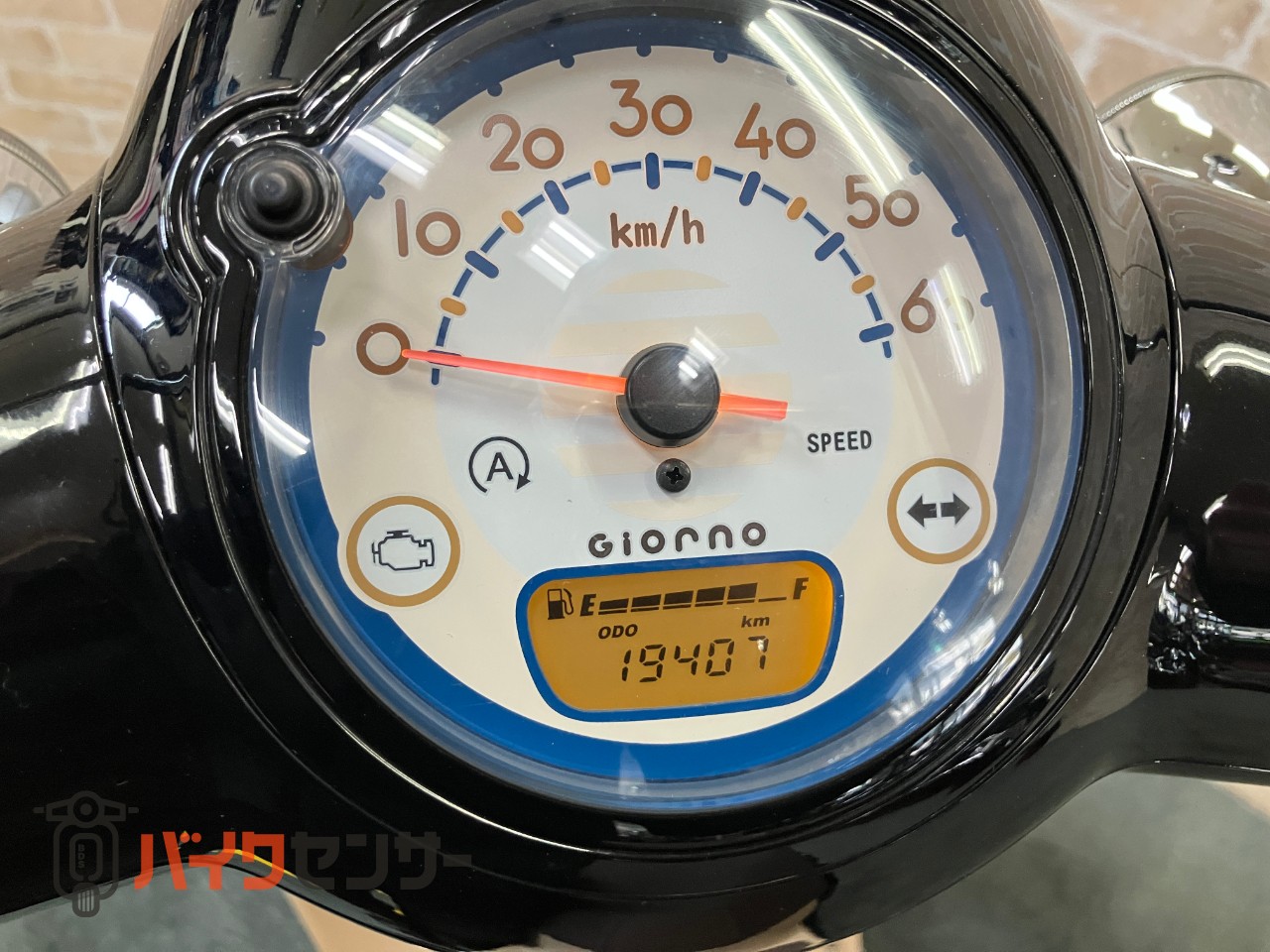 ジョルノ　AF77_8