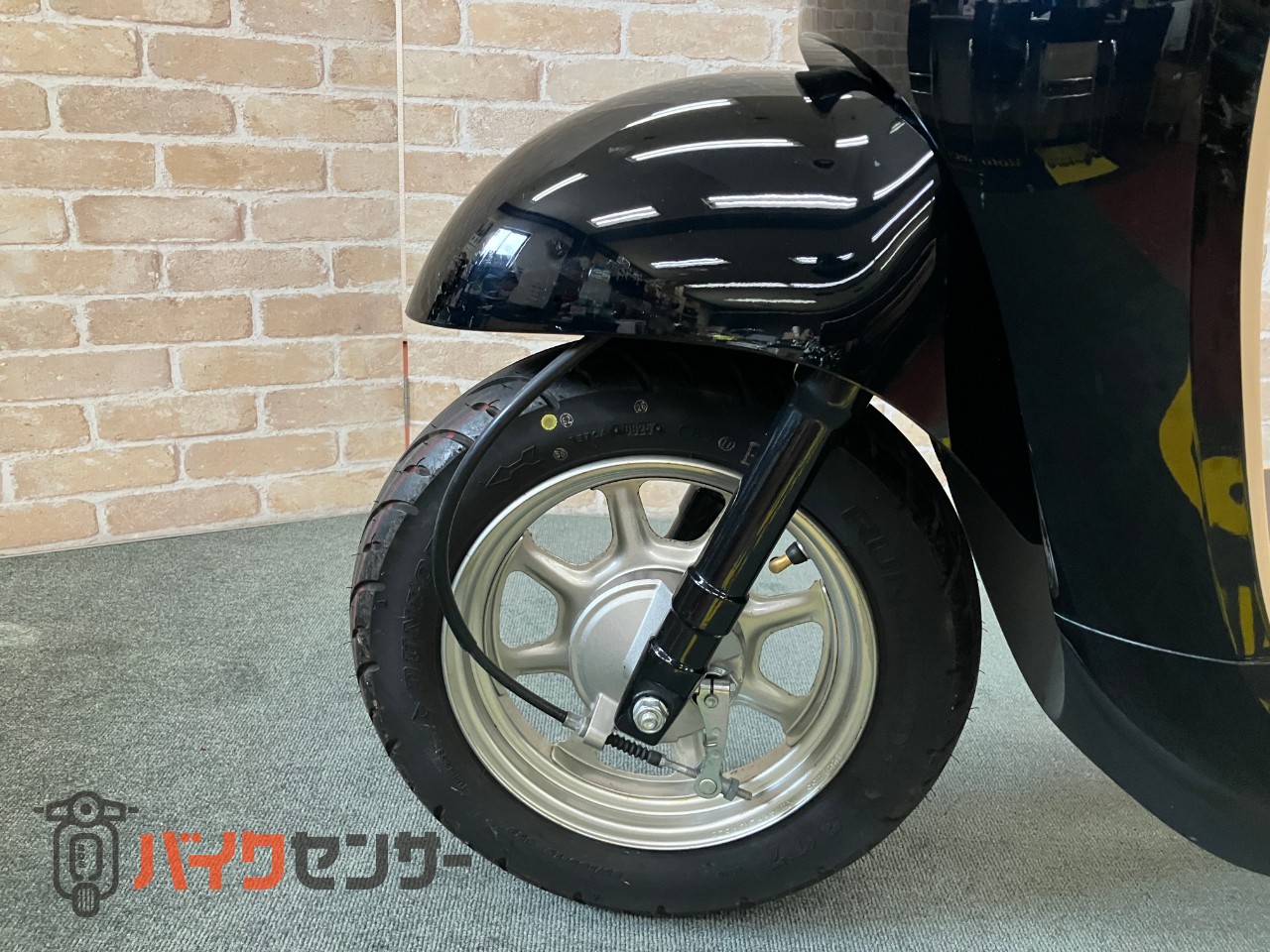 ジョルノ　AF77_13