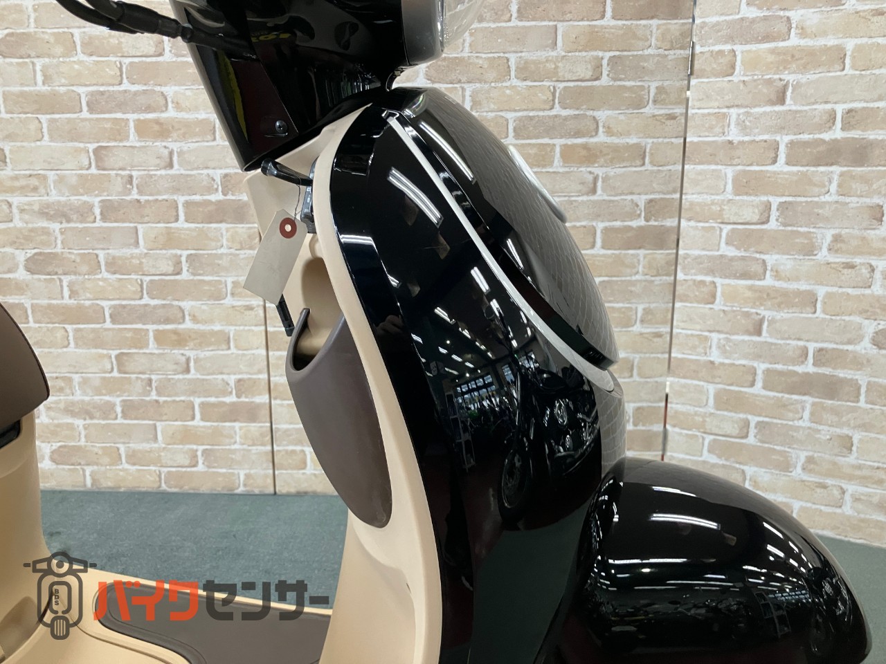 ジョルノ　AF77_27