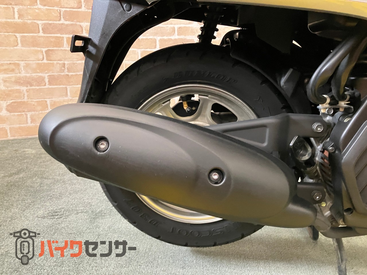 ジョルノ　AF77_32