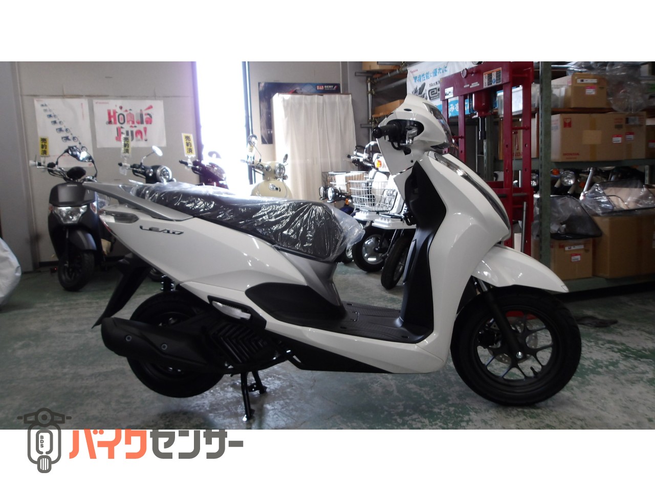 ホンダ リード125 バニラホワイト B602052| BDSバイクセンサー