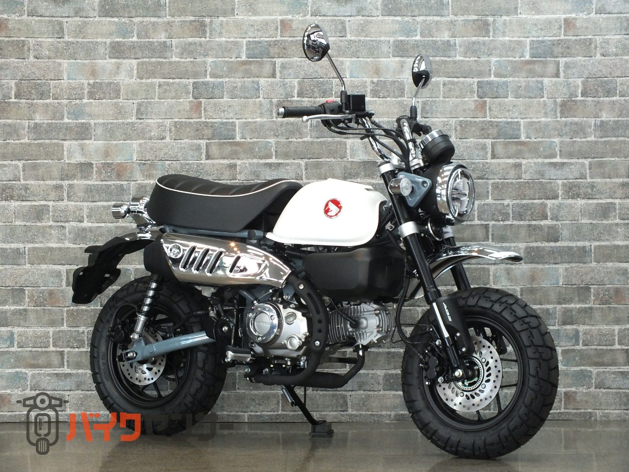 6/18写真更新　White Monkey ホワイトモンキー　スポア 4905083111710_1.jpg