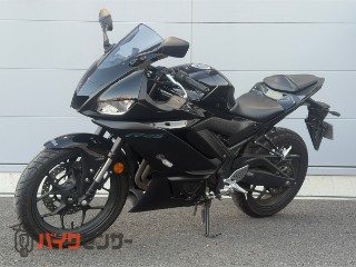 YZF-R25(thumbnail)/3