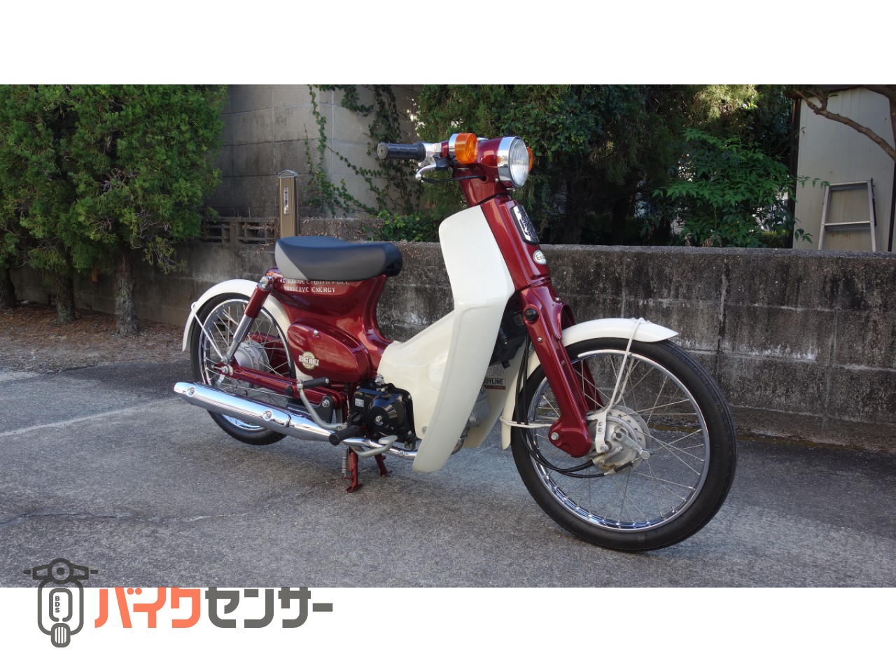ホンダ スーパーカブC50 所ジョージさんプロデユース B604157| BDS