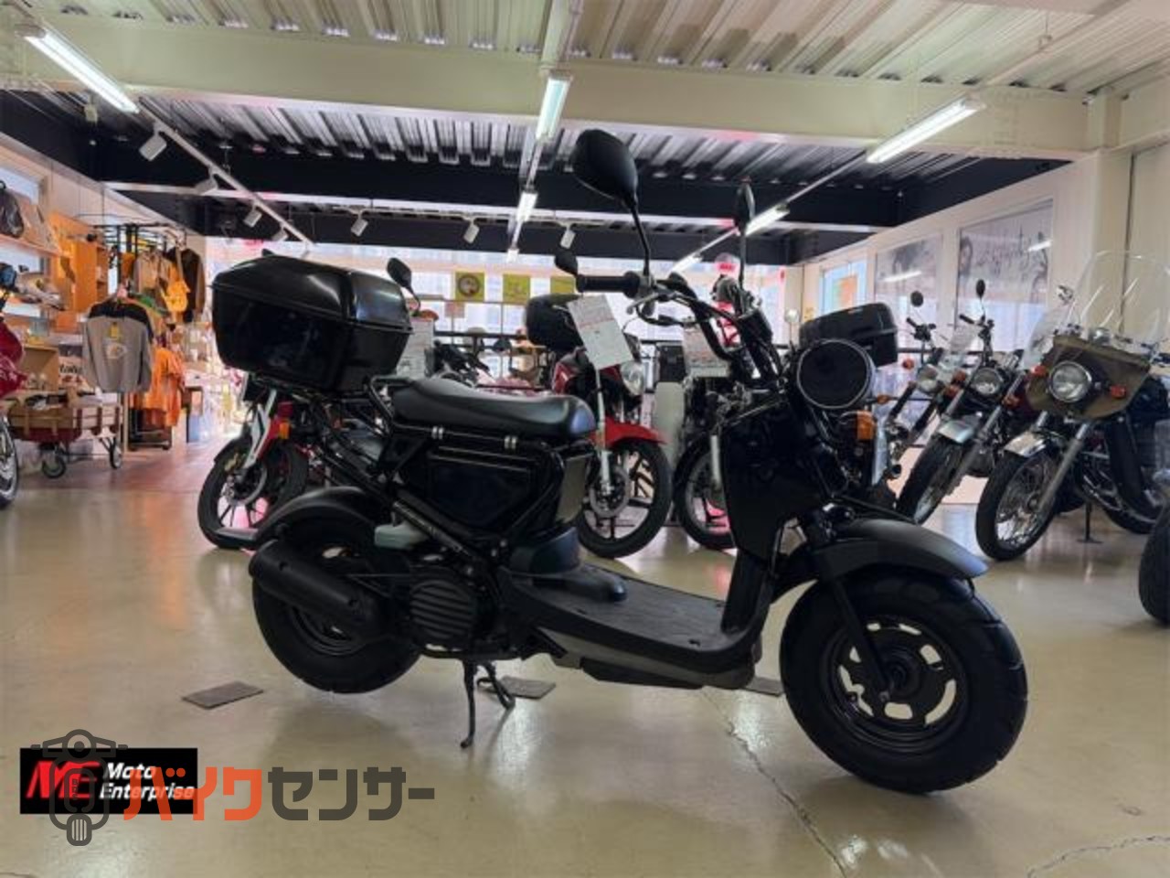 ホンダ ズーマー B607080| BDSバイクセンサー
