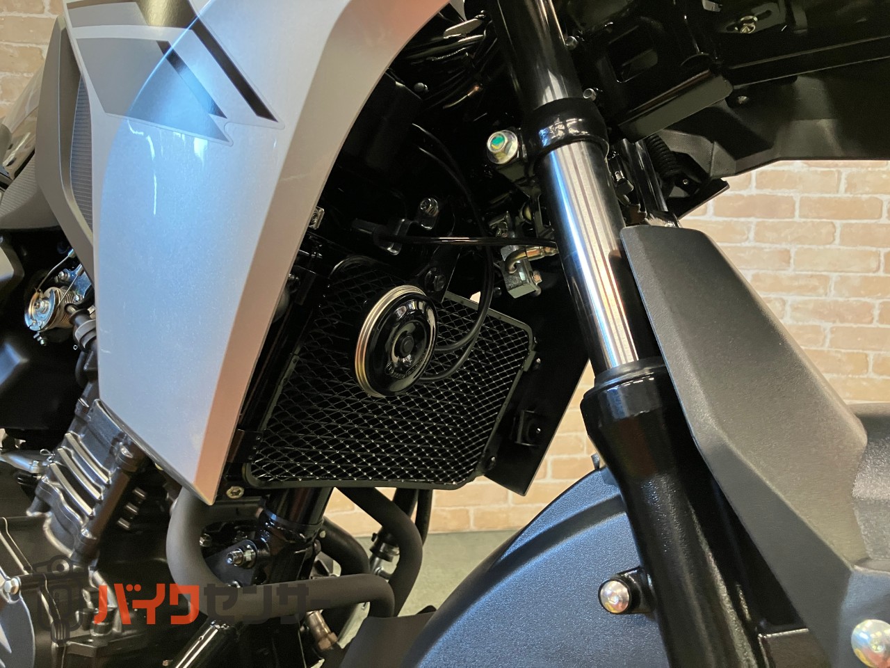 スズキ　Ｖ－ストローム２５０　Ｍ４モデル　ソリッドダスリンクールイエロー　水冷２気筒エンジン　リヤキャリア　ＤＣ電源　ナックルカバー_35