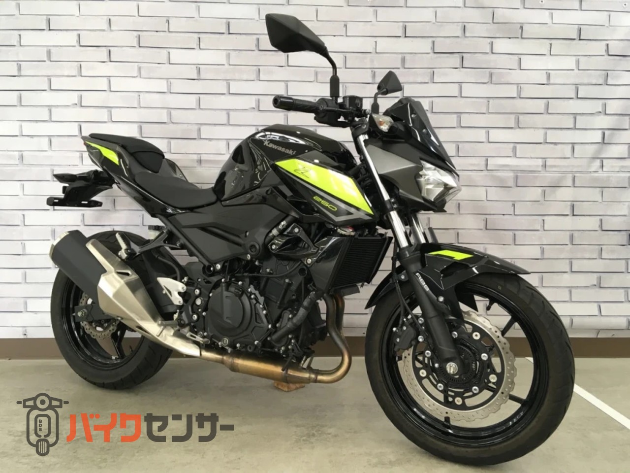 カワサキ Z250 B613682| BDSバイクセンサー