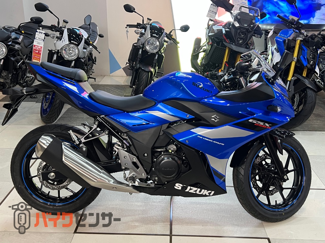 スズキ GSX250R 即納可能 2026年モデル B614571| BDSバイクセンサー