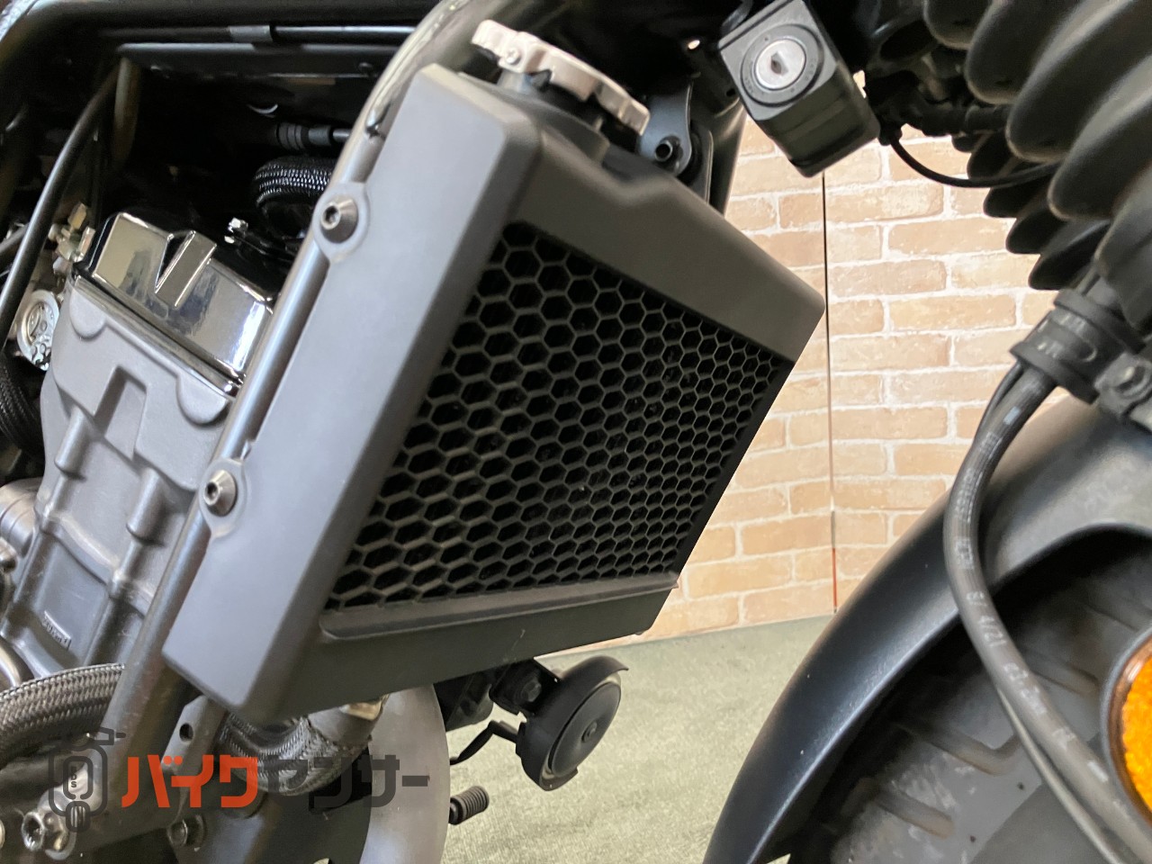 レブル250 Sエディション　パールスペンサーブルー　サイドバックサポート_29