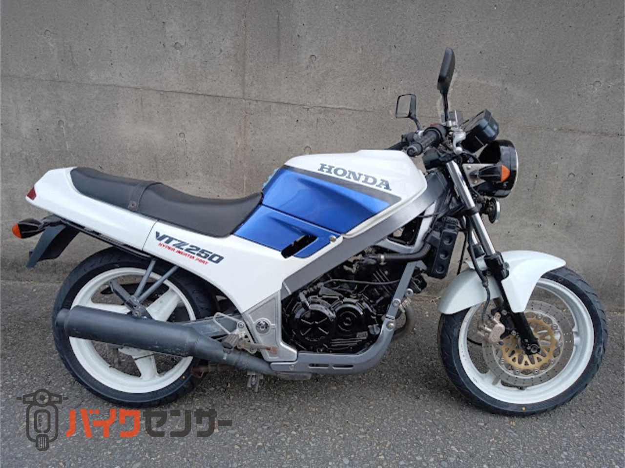 VTZ250 【公式通販】