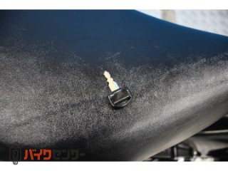 リトルカブ　ＡＡ０１モデル　インジェクション　ノーマル[img6]