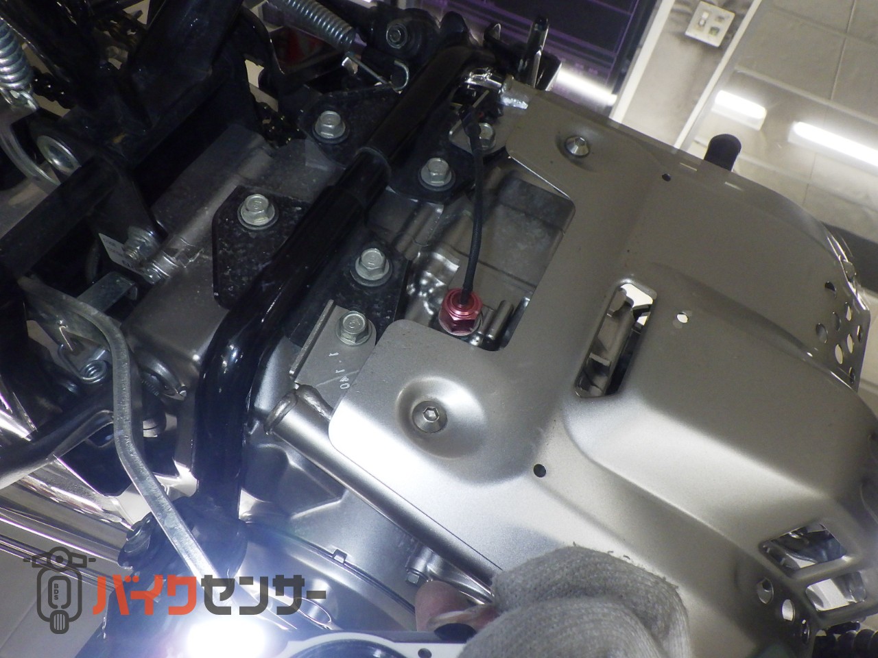 CT125ハンターカブ　エクセルワイドリム　ナイトロンＲサス　ウオタニSP2　T-REV　SP忠男マフラー　OVERスイングアーム_7